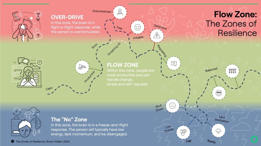 Perform Partners - Flow Zone - The Zones of Resilience