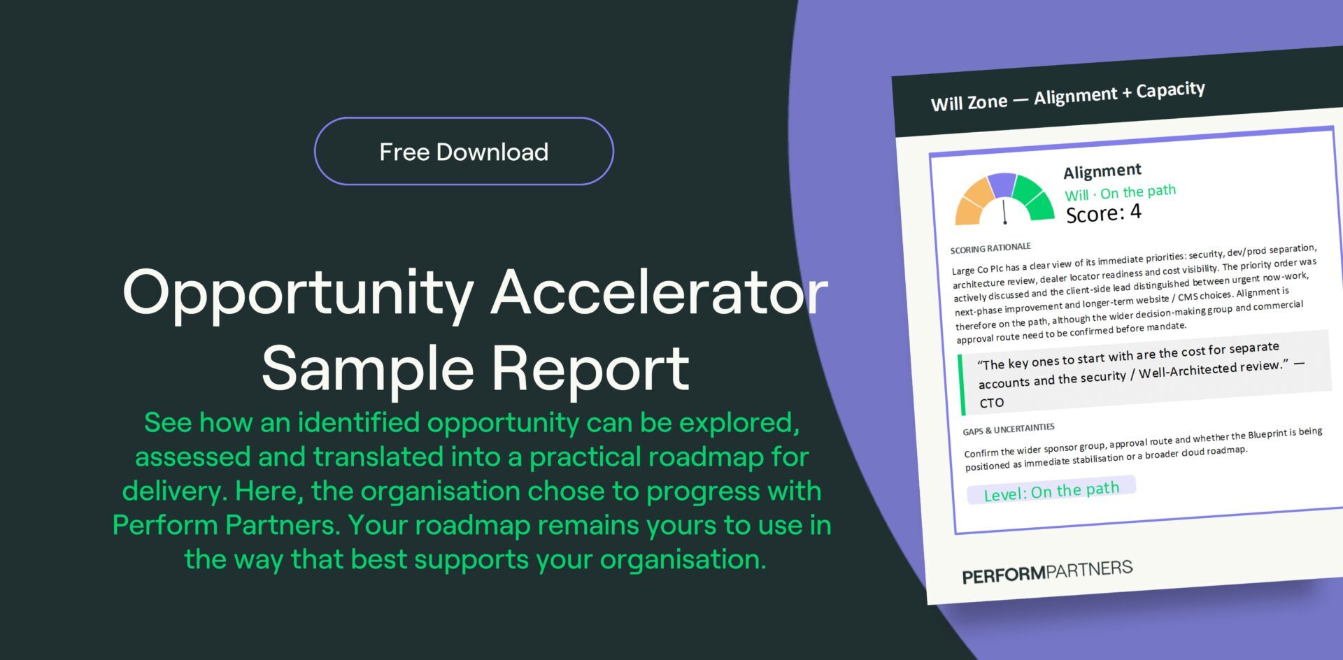 Opportunity Accelerator Sample Report FREE Downlaod from Perform Partners