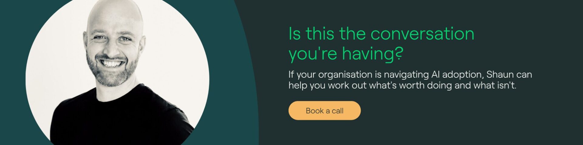 Book a call with Shaun Walsh to discuss The Real Risk of AI Adoption - Banner Booking Link